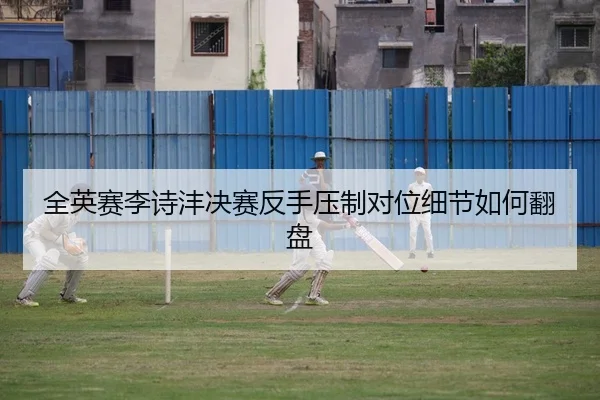 全英赛李诗沣决赛反手压制对位细节如何翻盘